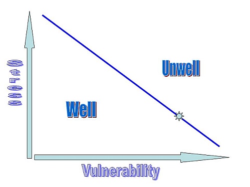 Graph showing link between stress and vulnerability